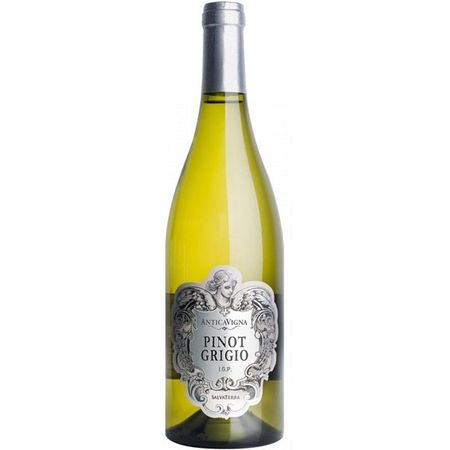 Antica Vigna Pinot Grigio delle Venezie DOC