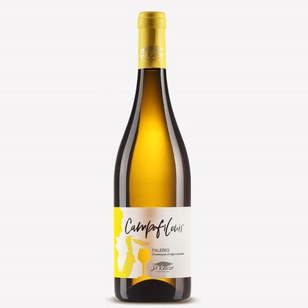 FALERIO DOC CAMPOFILONIS Cantina Ruscio