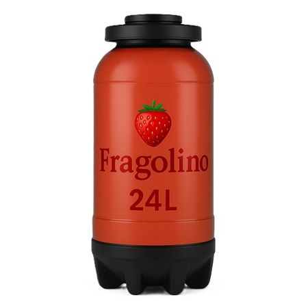 Fragolino – KEG 24 L (typ A)