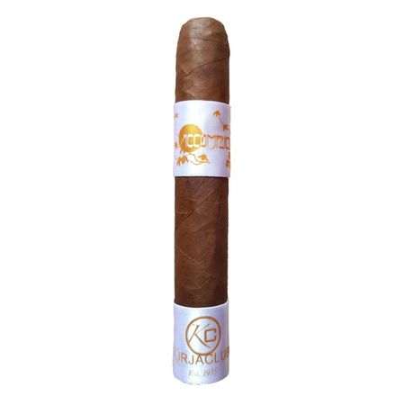PRINCIPLE THE ACCOMPLICE CLASSIC WB ROBUSTO D-F-25