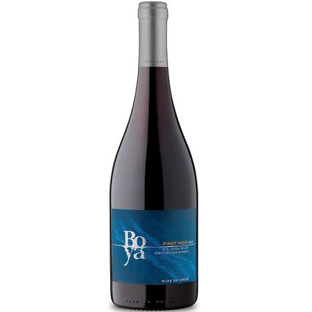 Vina Garces Silva Boya Pinot Noir