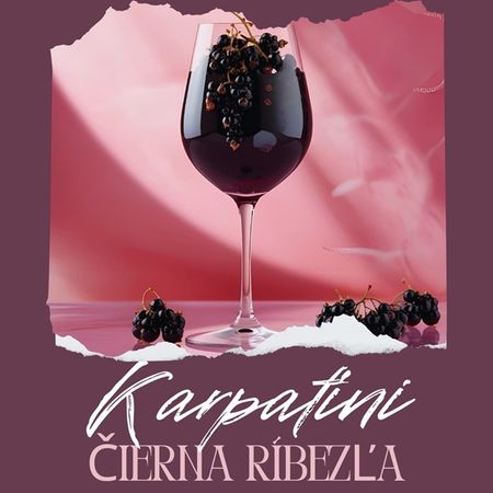 Vino Karpatia Czarna Porzeczka BIB 5 Litrów
