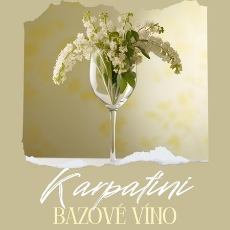 Vino Karpatia z kwiatów Czarnego Bzu BIB 5 Litrów